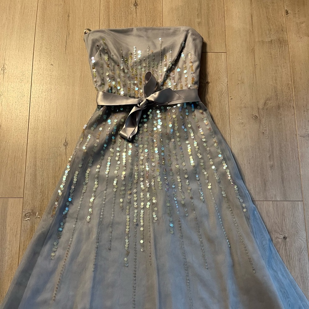 BCBG Tulle Dress
